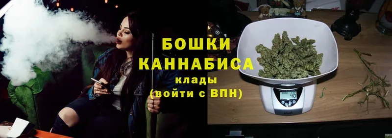 мега маркетплейс  где найти наркотики  Солигалич  Бошки марихуана OG Kush 